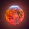 bloodmoon271
